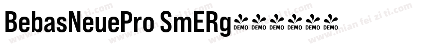 BebasNeuePro SmERg字体转换